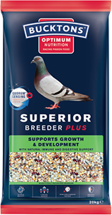 Bucktons Superior Plus Breeder