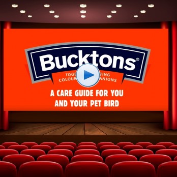 Bucktons Pet Bird Video Care Guides