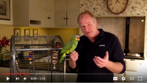 Housing and routine care for your pet bird