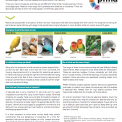 Indoor Bird Fact Sheet
