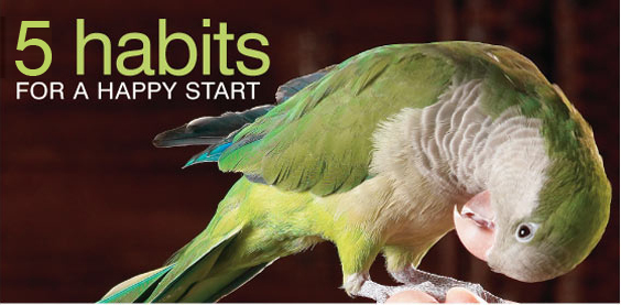 5 habits